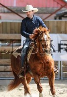 /album/galerie-de-photos-page-daccueil/reining-jpg1/